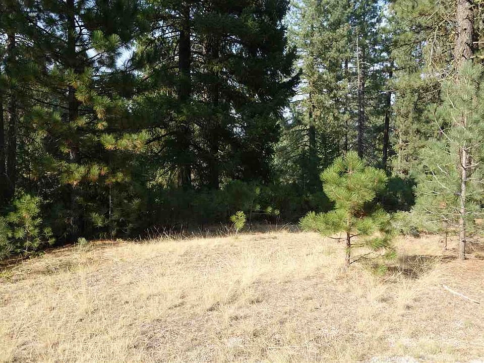2nd image of 1571 Lodgepole Trl