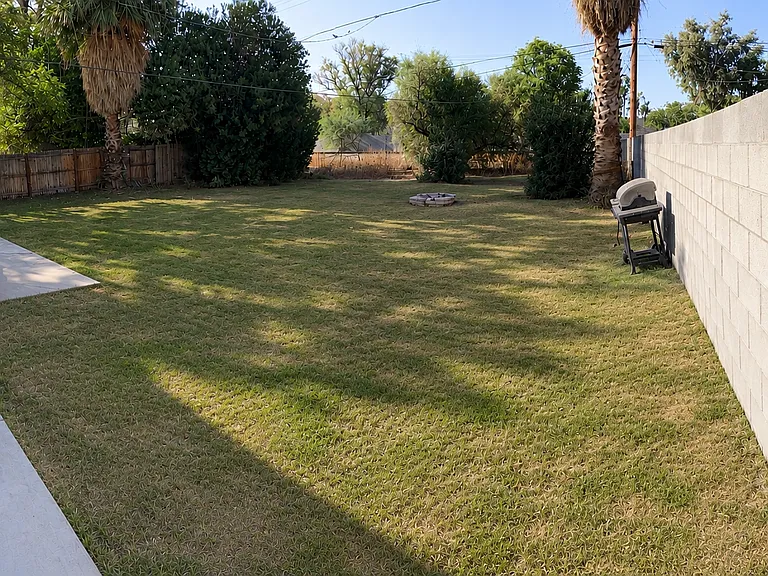 Back yard