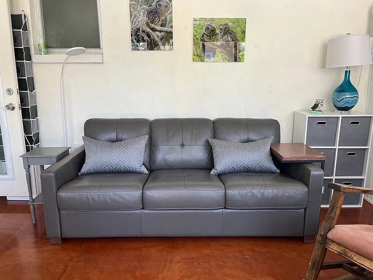 Sleeper sofa
