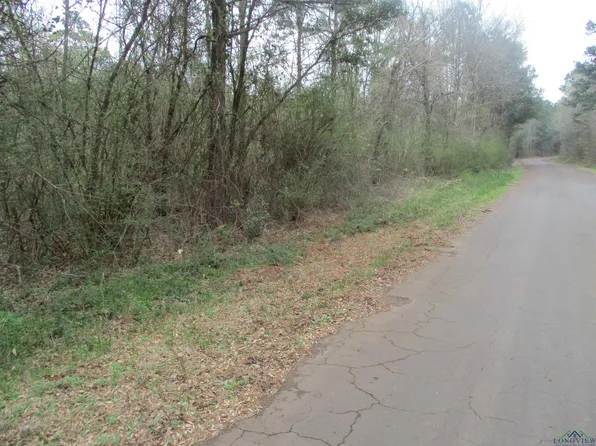 0 S County Road 3163, Laneville, TX 75667