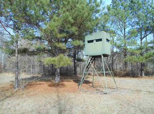 40 Dorman Rd, Vaiden, MS 39176