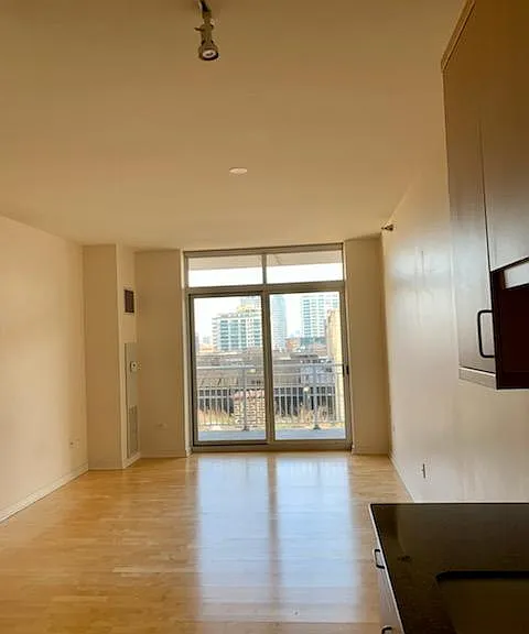 330 W Grand Ave #1105 — Photo 6