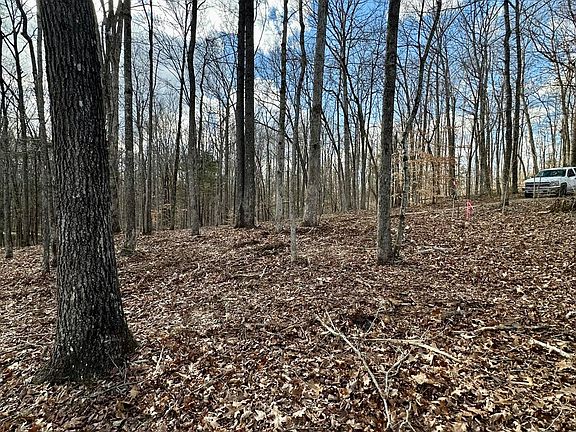 3rd image of 16 Malone Ridge Rd #16