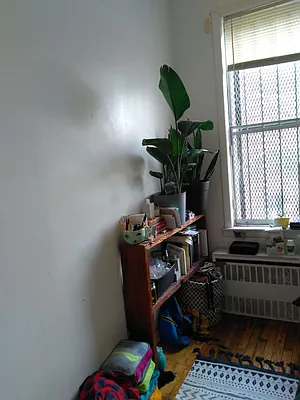 Rented by Signature Property Realty | media 19