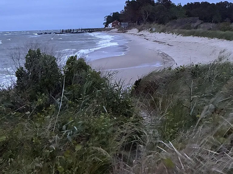 Beach view with wind
