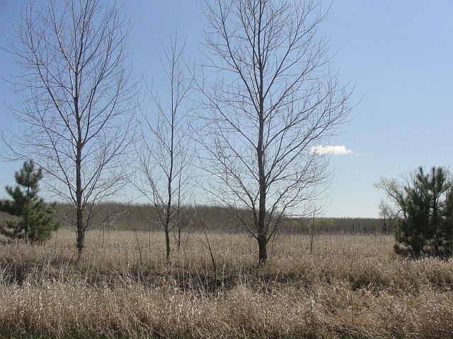 1st image of Marts Ln NE Lot 2