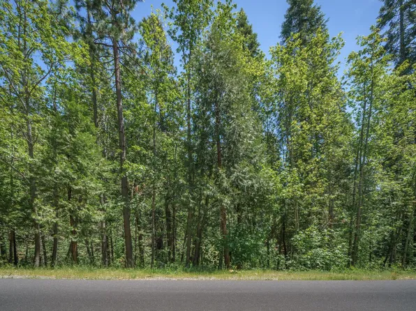 1172 Spring Valley Way, Arnold, CA 95223