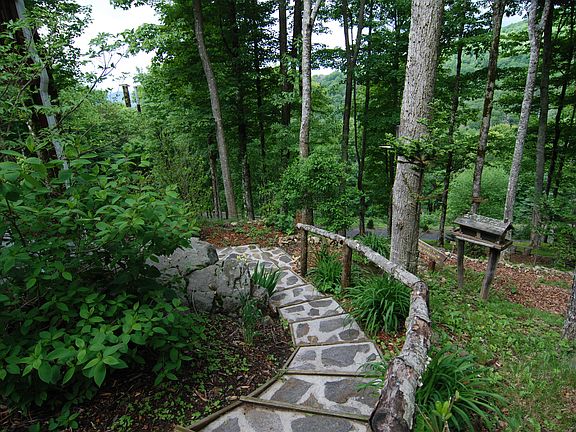 Stone Steps to Camp site