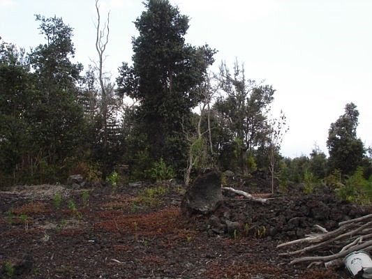 5th image of 92-1727 Hukilau Dr Lot 33
