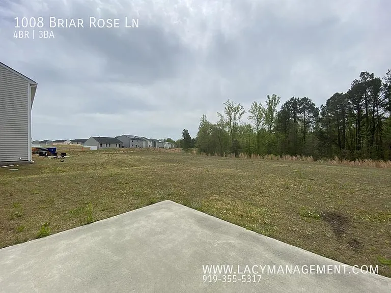1008 Briar Rose Ln — Photo 25