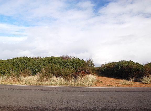 5th image of 1286 E Ocean Shores Blvd SW