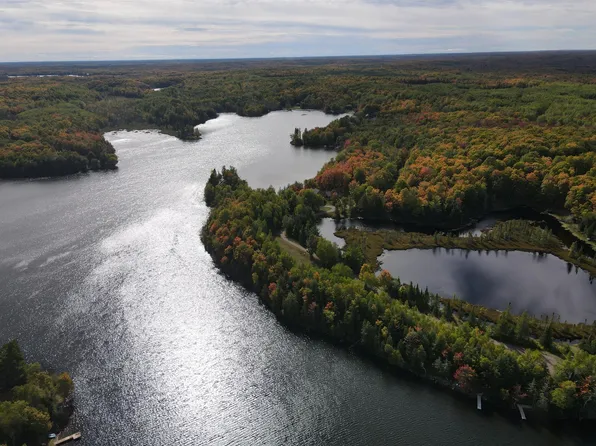 LOT 8 Chaney Cove Rd, Bessemer, MI 49911