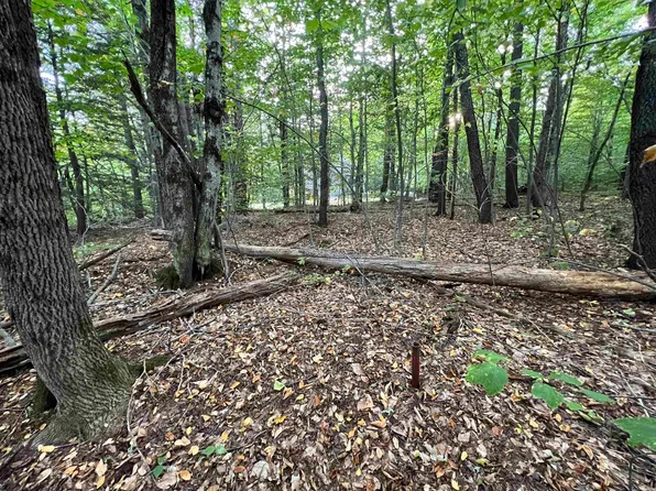 Oak Hill Road, Wardsboro, VT 05355
