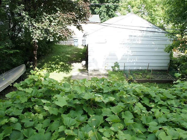 3005 Tyler St NE #2 — Photo 6