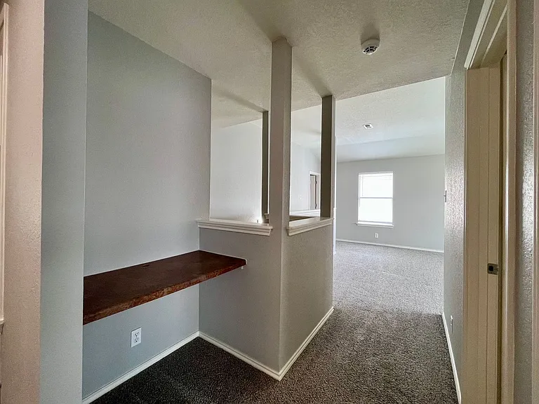 8734 Snow Goose — Photo 16