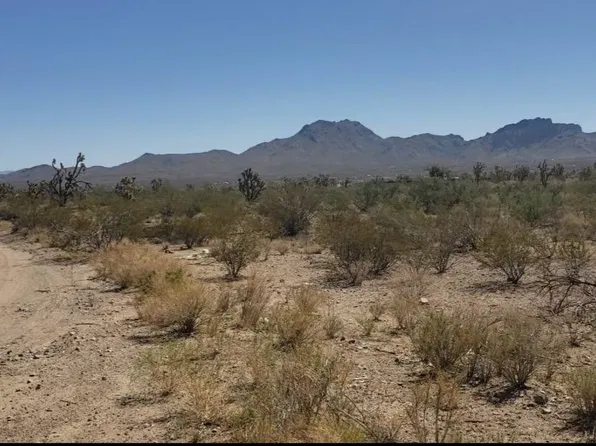 18432 N Laurel Dr, Dolan Springs, AZ 86441