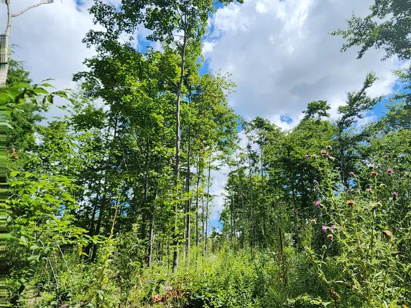 PARCEL 9 Old M32, Hillman, MI 49746