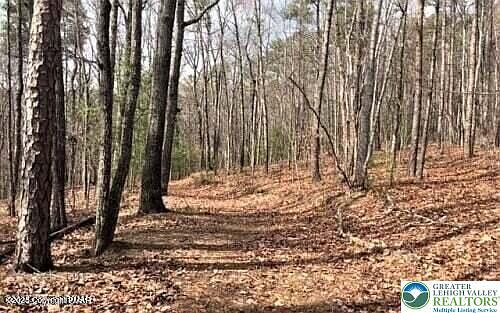 4th image of 407 Sassfras Rd