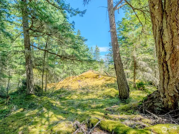 678 Swan Road, Orcas Island, WA 98245