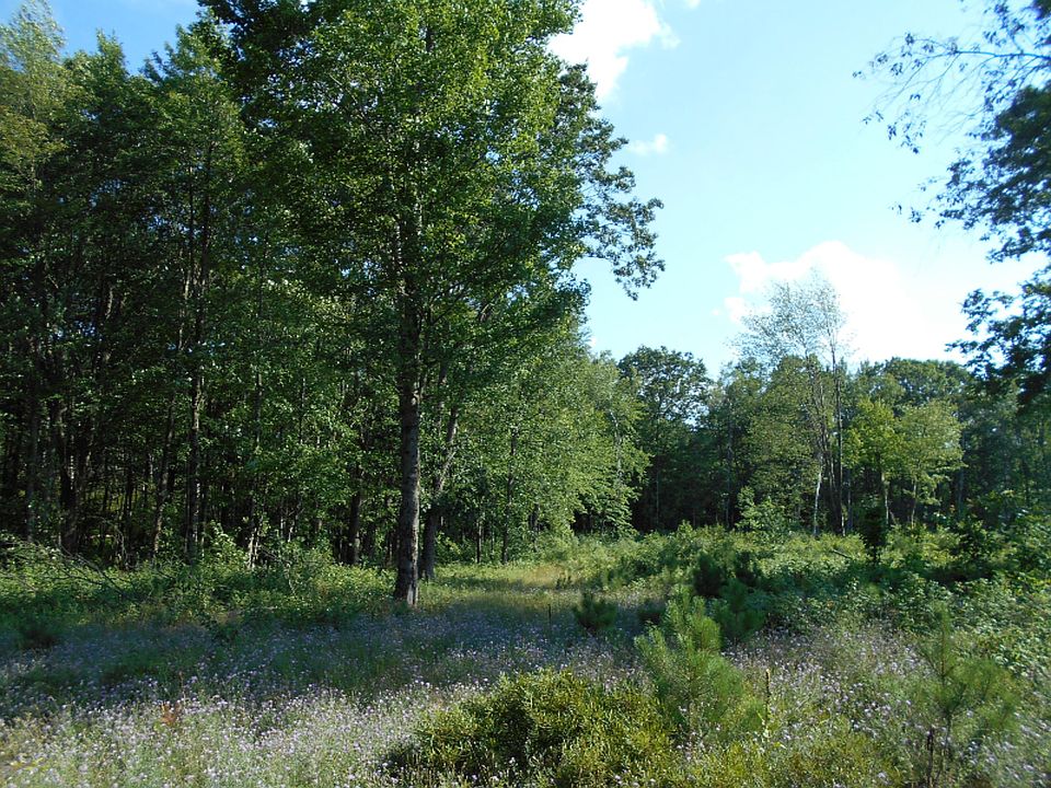 1st image of 60 Avenue