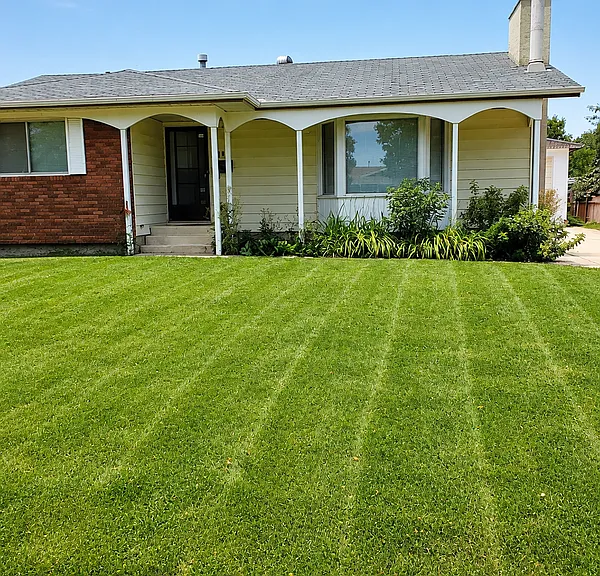 116 Akins Dr — Photo 1