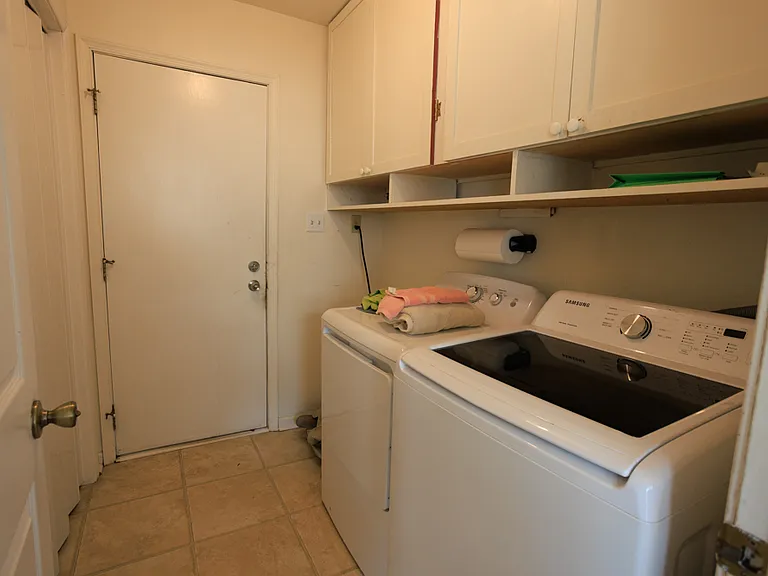 510 Wild Mint Ln — Photo 10
