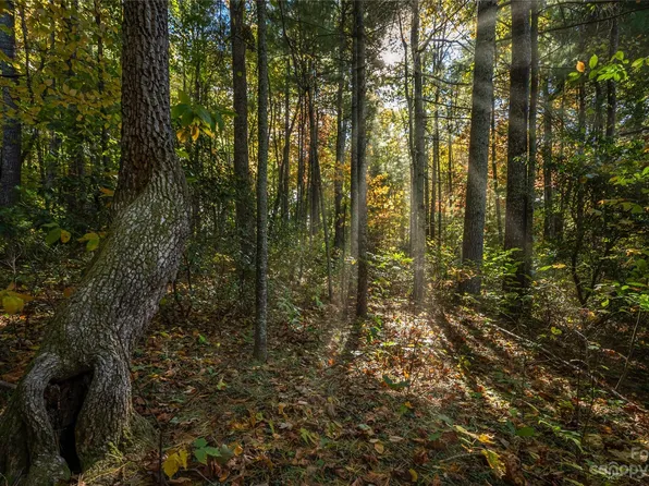 99999 Bolt Action Trl, Hendersonville, NC 28792