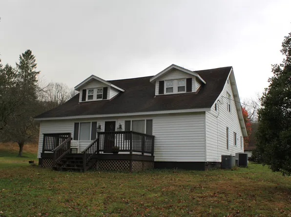 946 Meadowfork Rd, Camden On Gauley, WV 26208