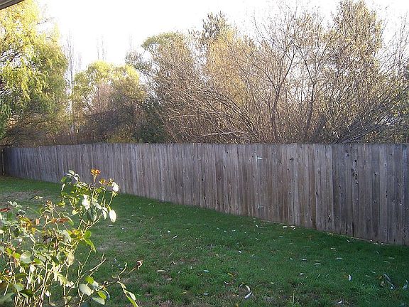 Fenced Back Yard