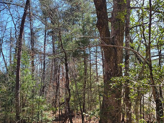 3rd image of Cumberland Lakes Dr