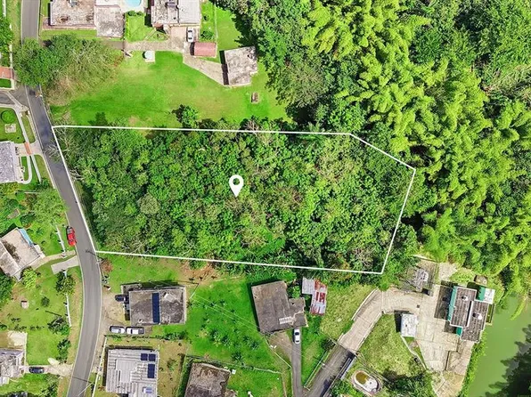 4 BARRIO RINCON, CIDRA, PR 00739