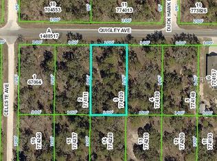 13322 Quigley Ave, Weeki Wachee, FL 34614