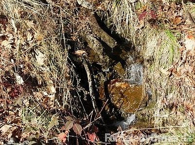 One of two Streams
