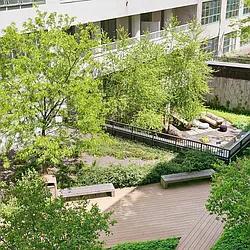 Rented by Domus Realty