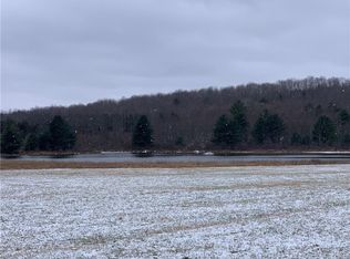 478 Wells Rd, Norwich, NY 13815