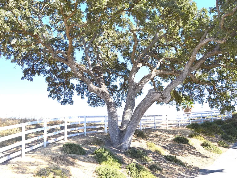 5640 Linne Rd — Photo 15