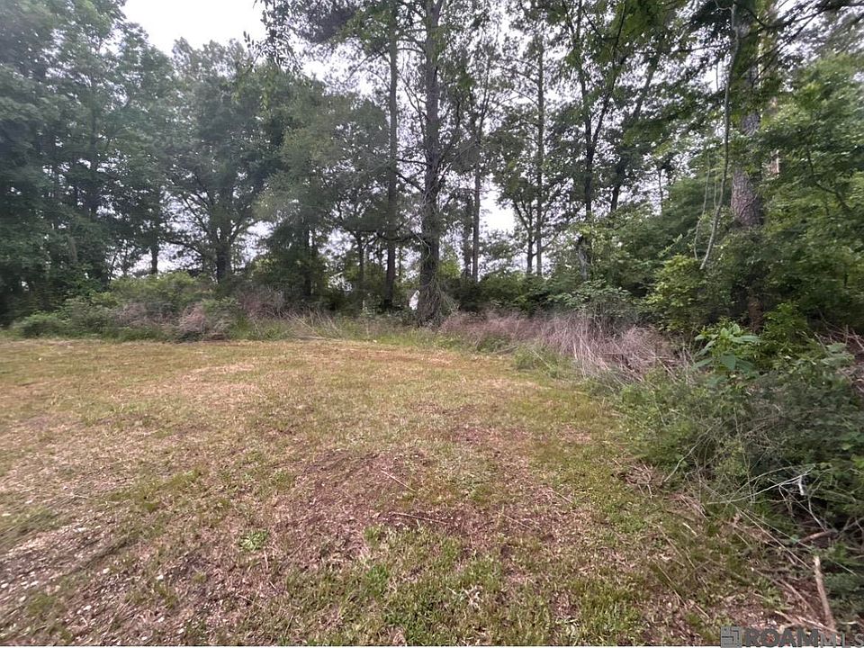 2nd image of 31937 William Kelly Ln