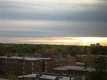 3rd image of 11850 Edgewater Dr APT 1001