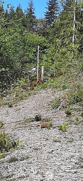 2nd image of 261 NE WJ Way