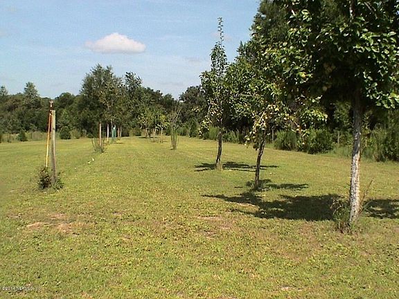Pear Trees