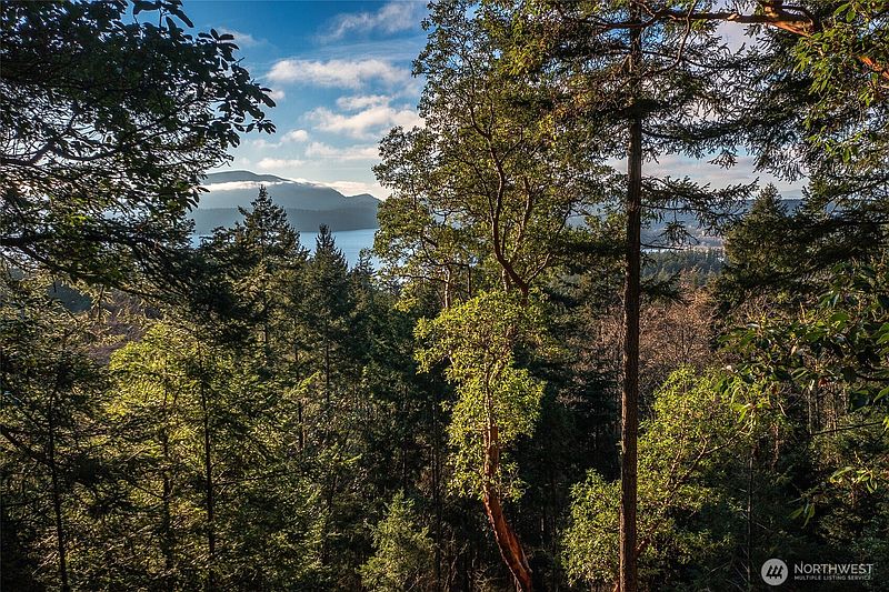2nd image of 558 Buck Mt. Road