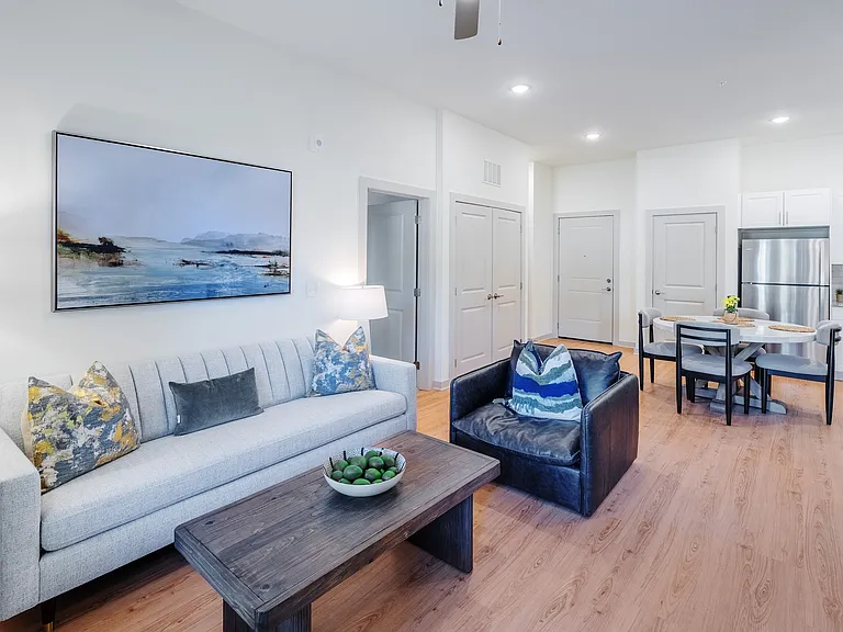 Living Room and Kitchen