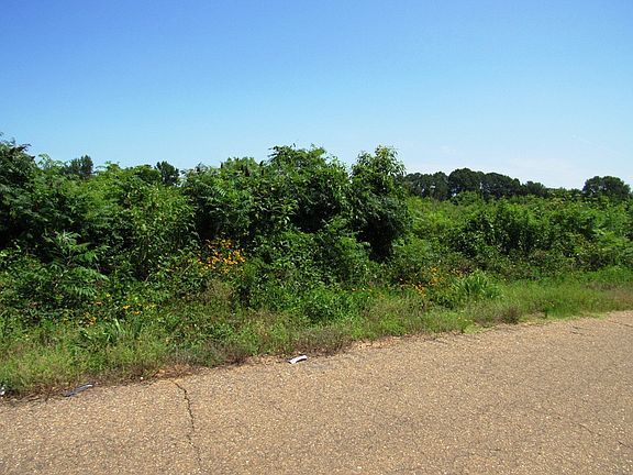 4th image of 674 Little River 70