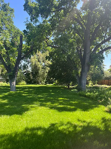 930 Lee Ln Photo 1