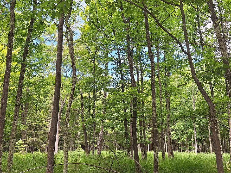 1st image of xxx South Shore Rd Lot 1, Block 1 South Shore Woodlands