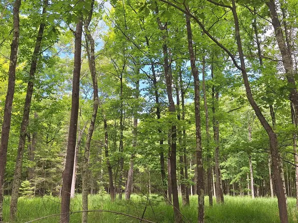 xxx South Shore Rd Lot 1, Block 1 South Shore Woodlands, La Pointe, WI 54850