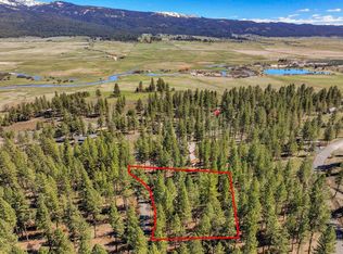 3919 Hot Springs Rd, New Meadows, ID 83654
