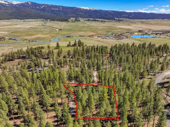 3919 Hot Springs Rd, New Meadows, ID 83654