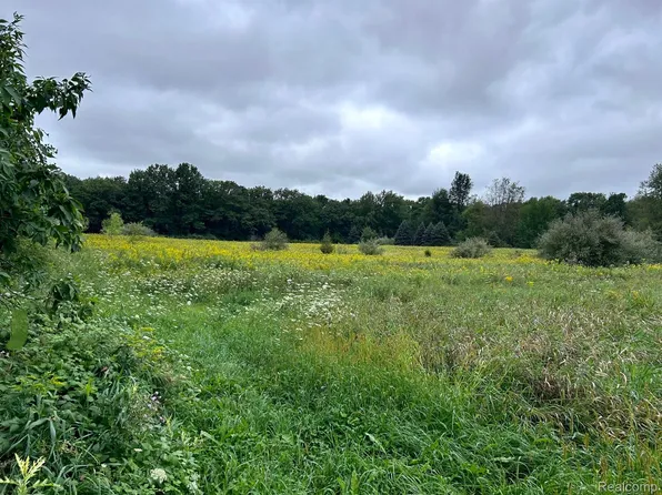 0 Weller Rd, Gregory, MI 48137