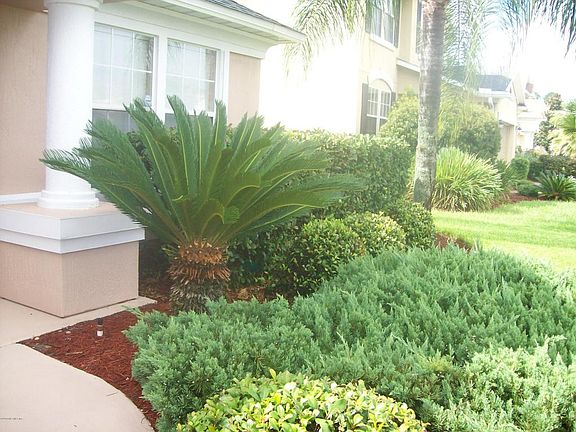 3rd image of 12604 Pine Marsh Way